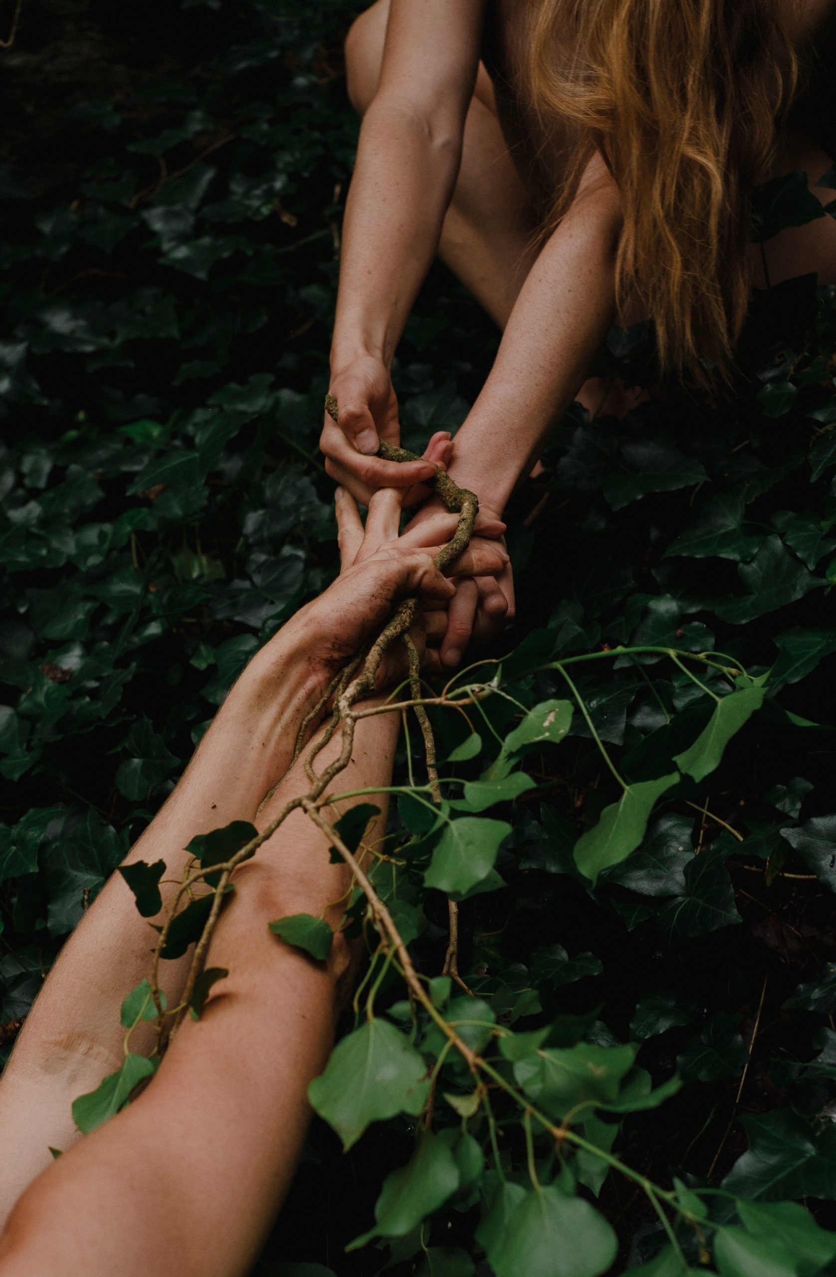 Nature Renaissance-22